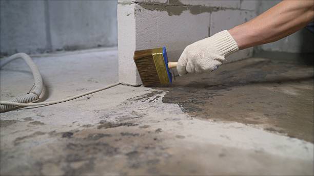 SJ Waterproofing Pros Waterproofing coverage map for Pall Mall, TN and surrounding area